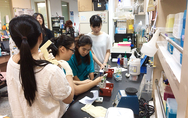 台北医学大学研究室での研究体験