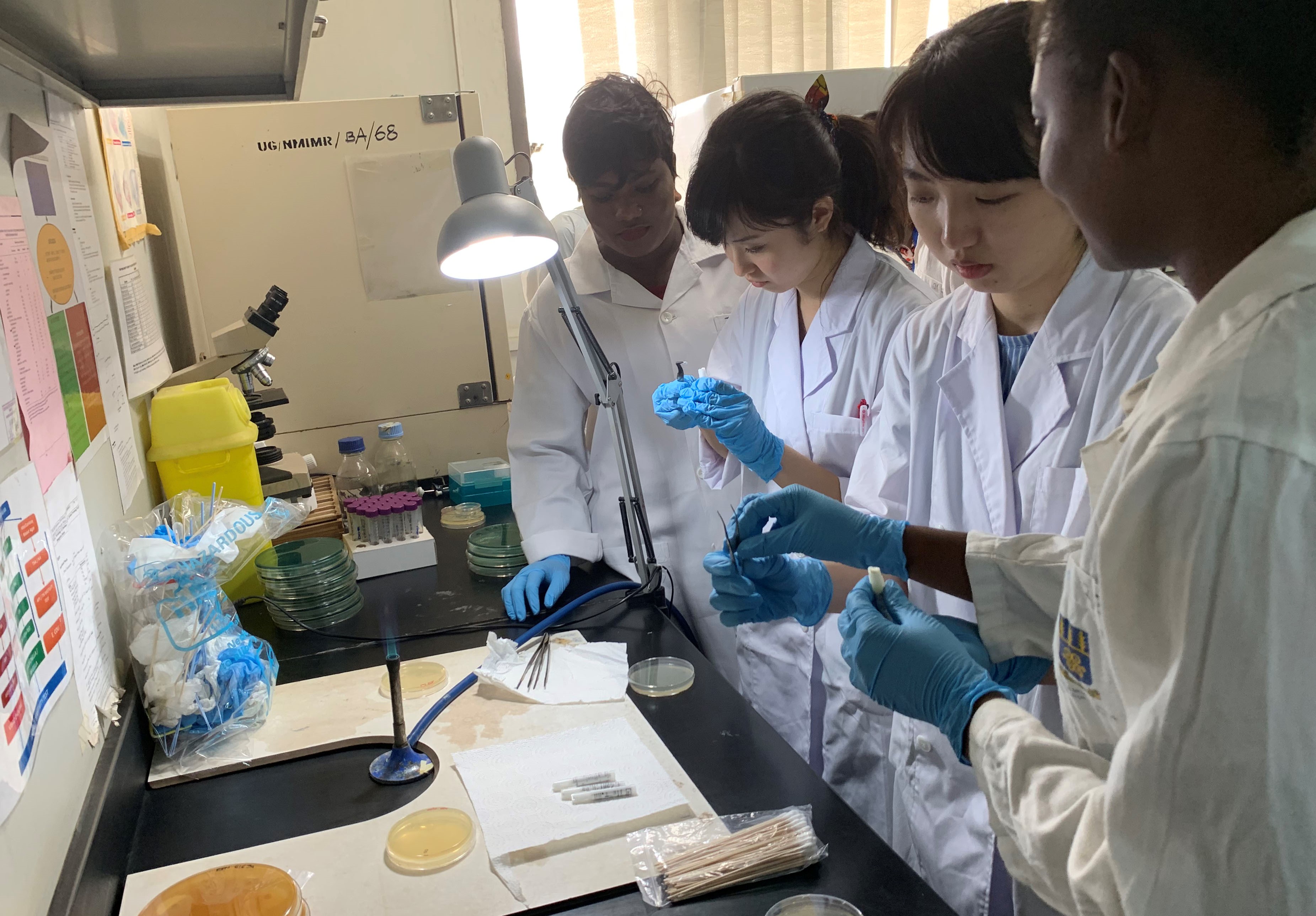 野口記念医学研究所　細菌学研究室での研究体験